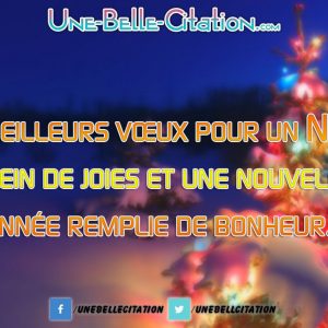 «Meilleurs vœux pour un Noël plein de joies et une nouvelle année remplie de bonheur.»