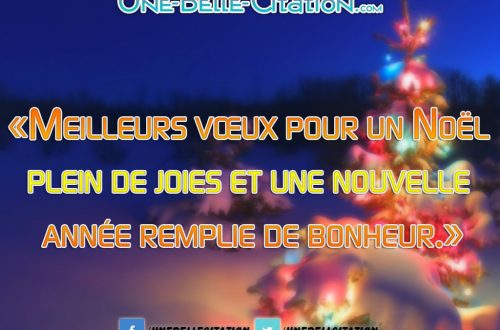 «Meilleurs vœux pour un Noël plein de joies et une nouvelle année remplie de bonheur.»