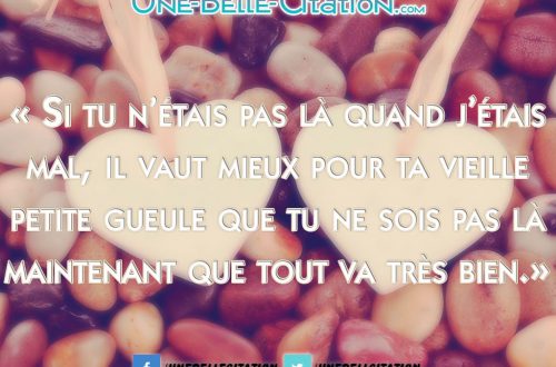« Si tu n’étais pas là quand j’étais mal, il vaut mieux pour ta vieille petite gueule que tu ne sois pas là maintenant que tout va très bien.»