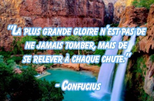"La plus grande gloire n'est pas de ne jamais tomber, mais de se relever à chaque chute." - Confucius