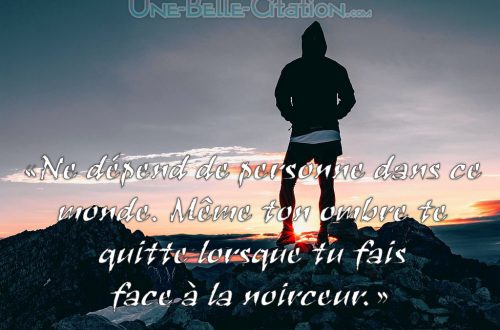 «Ne dépend de personne dans ce monde. Même ton ombre te quitte lorsque tu fais face à la noirceur.»