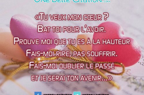 « Tu veux mon cœur ? Bat toi pour l’avoir. Prouve moi que tu es à la hauteur Fais-moi rire, pas souffrir. Fais-moi oublier le passé et je serai ton avenir... »