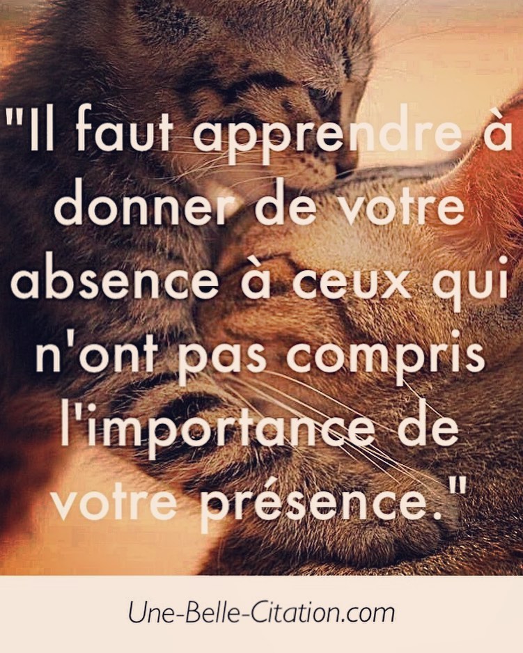 J Aime Ce Qui Est Difficile Le Complique M Attire Et Je Suis Toujours Amoureux De L Impossible Citations Et Proverbes Retrouver De Nombreuses Citations Proverbes