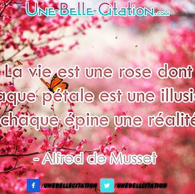 Ne Sois Pas Triste Pour Une Personne Qui T A Laisse Tomber Sois Triste Pour Elle Car Elle Vient De Perdre Quelqu Un Qui Ne L Aurait Jamais Laisser Tomber Citations Et