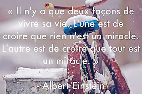 "Il n'y a que deux façons de vivre sa vie. L'une est de croire que rien n'est un miracle. L'autre est de croire que tout est un miracle." Albert Einsten