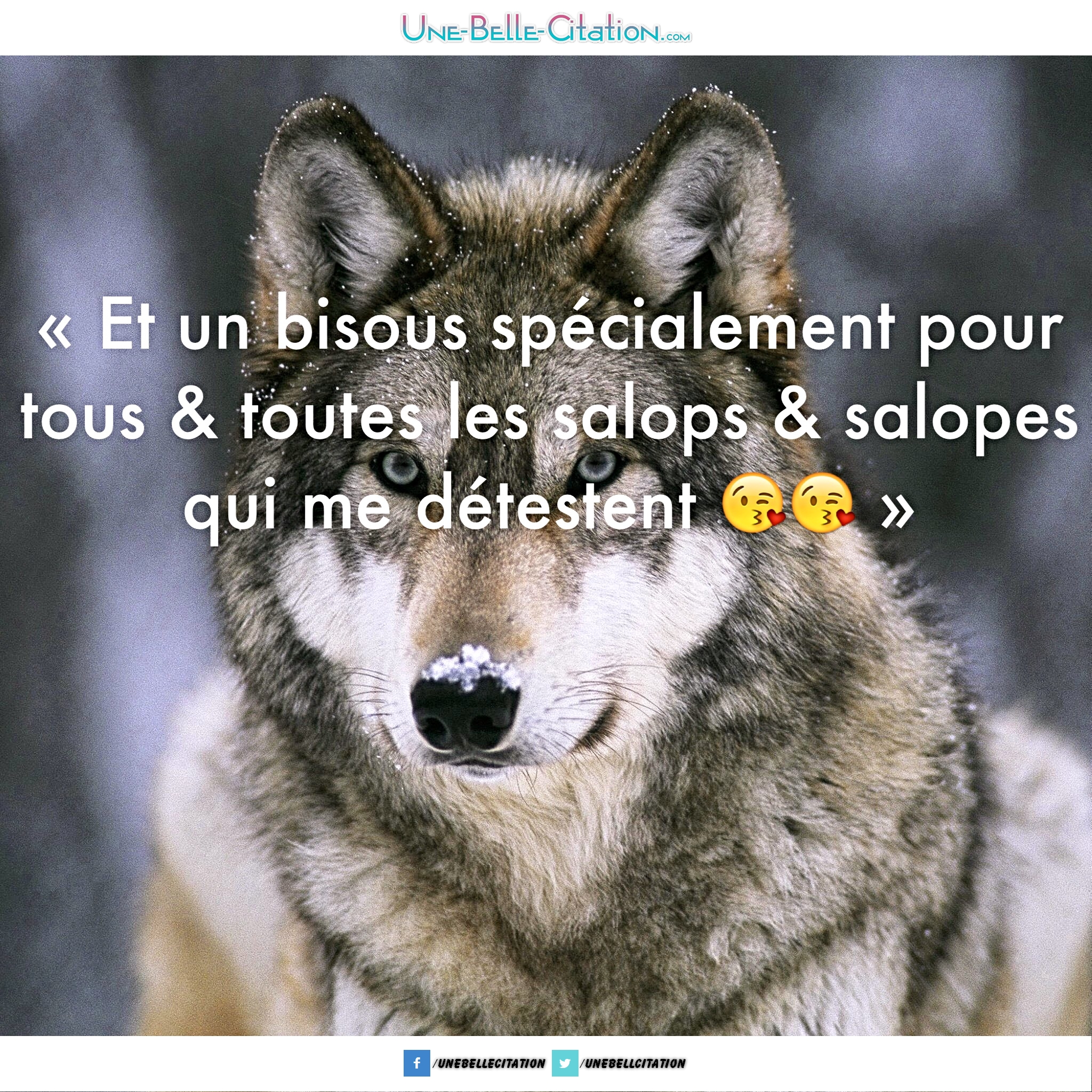 Et Un Bisous Specialement Pour Tous Toutes Les Salops Et Salopes Qui Me Detestent Citations Et Proverbes Retrouver De Nombreuses Citations Proverbes