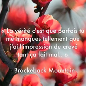 « La vérité c’est que parfois tu me manques tellement que j’ai l’impression de crever tant ça fais mal. » – Brockeback Mountain