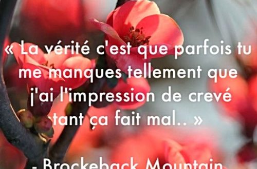 « La vérité c’est que parfois tu me manques tellement que j’ai l’impression de crever tant ça fais mal. » – Brockeback Mountain