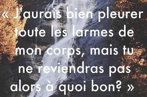« J’aurais bien pleurer toutes les larmes de mon corps, mais tu ne reviendras pas. Alors, à quoi bon ? »