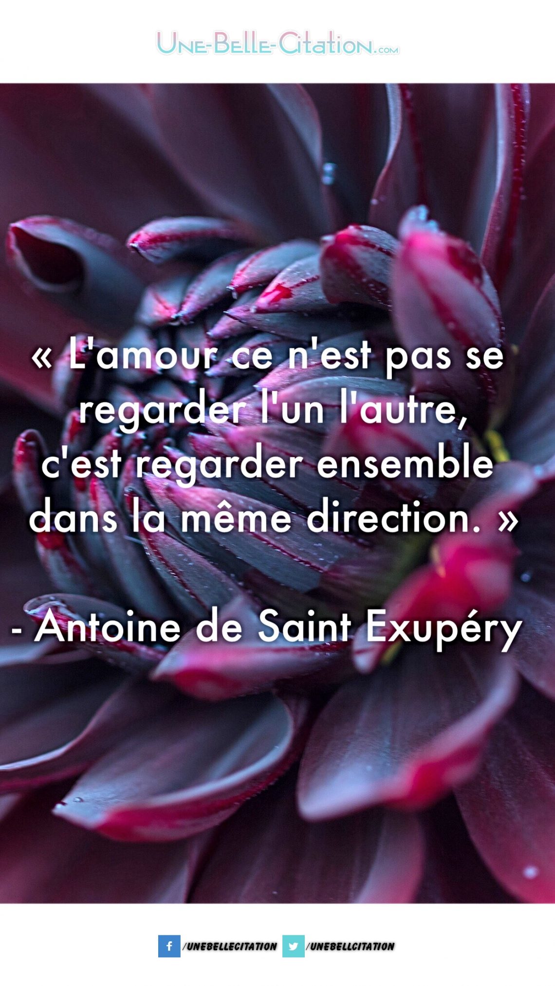 « L’amour ce n’est pas se regarder l’un l’autre, c’est regarder ensemble dans la même direction. » – Antoine de Saint-Exupéry