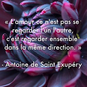 « L’amour ce n’est pas se regarder l’un l’autre, c’est regarder ensemble dans la même direction. » – Antoine de Saint-Exupéry