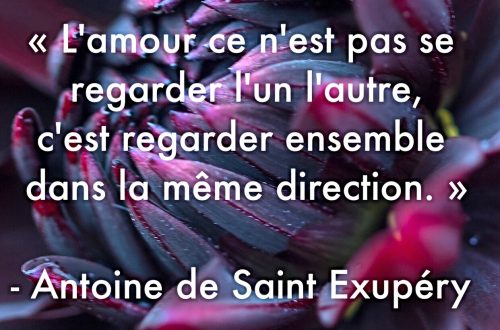 « L’amour ce n’est pas se regarder l’un l’autre, c’est regarder ensemble dans la même direction. » – Antoine de Saint-Exupéry