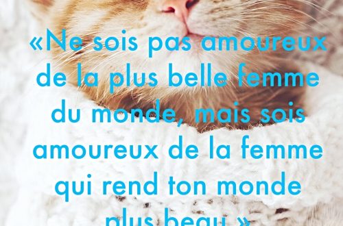 "Ne sois pas amoureux de la plus belle femme du monde, mais sois amoureux de la femme qui rend ton monde plus beau." - Wiz Khalifa