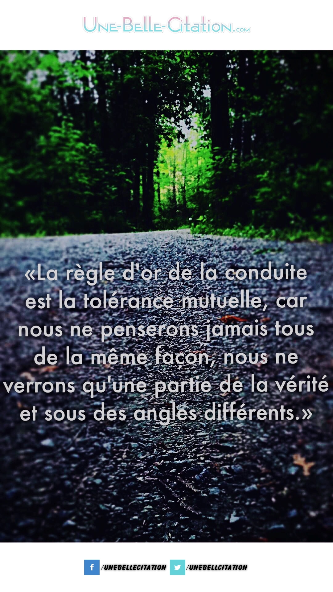 « La règle d’or de la conduite est la tolérance mutuelle car nous ne penserons jamais tous de la même façon nous ne verrons qu’une partie de la vérité et sous des angles différents. »