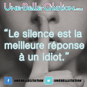 “Le silence est la meilleure réponse à un idiot.”