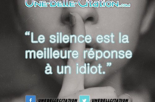 “Le silence est la meilleure réponse à un idiot.”