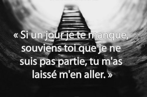 « Si un jour je te manque, souviens toi que je ne suis pas partie, tu m'as laissé m'en aller. »