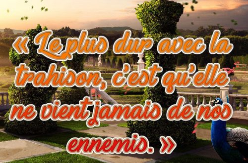 « Le plus dur avec la trahison, c'est qu'elle ne vient jamais de nos ennemis. »