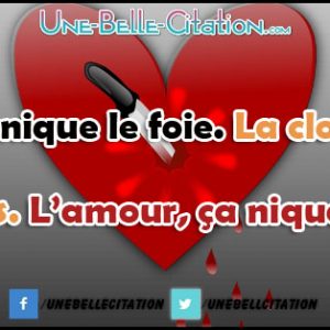 "L'alcool, ça nique le foie. La clope, ça nique les poumons. L'amour, ça nique le cœur."