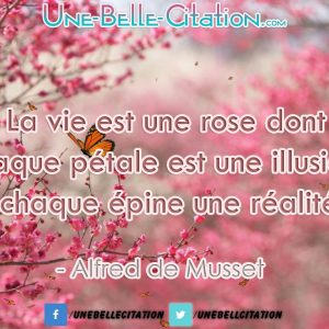 « La vie est une rose dont chaque pétale est une illusion et chaque épine une réalité. »