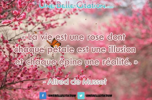 « La vie est une rose dont chaque pétale est une illusion et chaque épine une réalité. »
