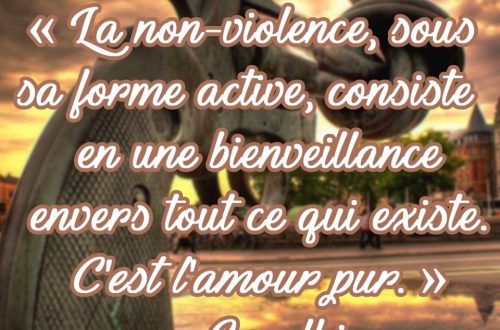 « La non-violence, sous sa forme active, consiste en une bienveillance envers tout ce qui existe. C'est l'amour pur. » - Gandhi