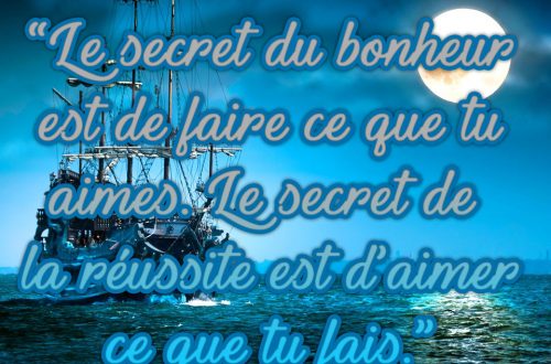 « Le secret du bonheur est de faire ce que tu aimes. Le secret de la réussite est d'aimer ce que tu fais. »