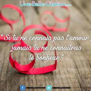 « Si tu ne connais pas l'amour, jamais tu ne connaîtras le bonheur. »