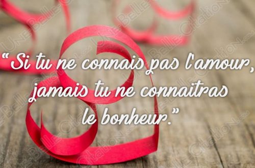 « Si tu ne connais pas l'amour, jamais tu ne connaîtras le bonheur. »