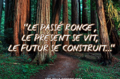 « Le passé ronge, le présent se vit, le futur se construit... »