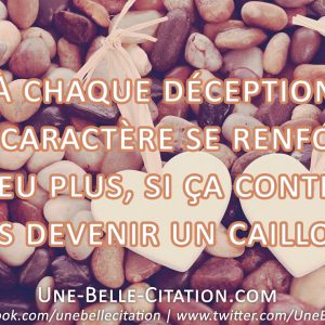 « À chaque déception mon caractère se renforce un peu plus, si ça continue je vais devenir un caillou. »