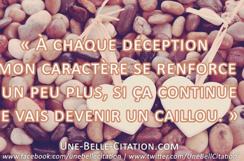 « À chaque déception mon caractère se renforce un peu plus, si ça continue je vais devenir un caillou. »