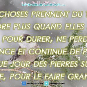 « Les choses prennent du temps, encore plus quand elles sont faites pour durer, ne perds pas patience et continue de poser chaque jour des pierres sur cet édifice, pour le faire grandir. »
