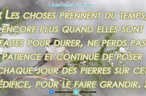 « Les choses prennent du temps, encore plus quand elles sont faites pour durer, ne perds pas patience et continue de poser chaque jour des pierres sur cet édifice, pour le faire grandir. »