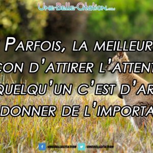 Parfois, la meilleure façon d’attirer l’attention d’une personne est d’arrêter de lui donner de l’importance.