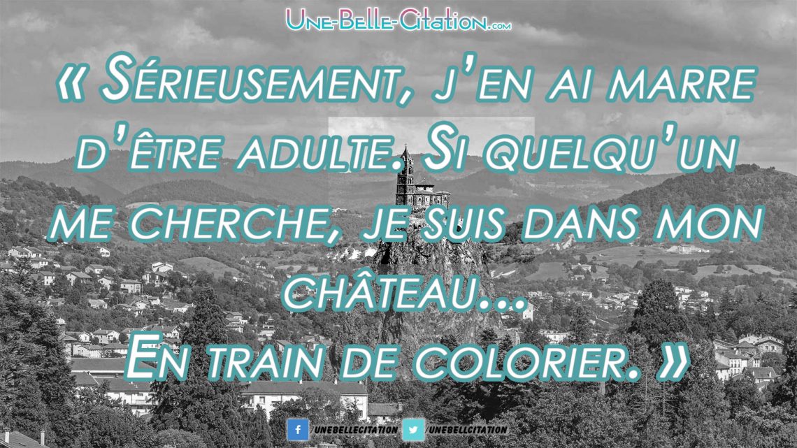 Sérieusement, j’en ai marre d’être adulte. Si quelqu’un me cherche, je suis dans mon château… En train de colorier.