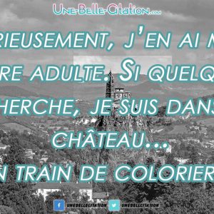 Sérieusement, j’en ai marre d’être adulte. Si quelqu’un me cherche, je suis dans mon château… En train de colorier.