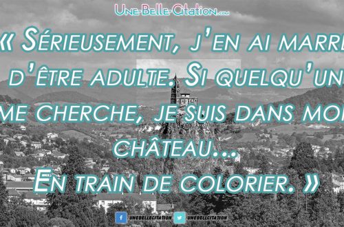 Sérieusement, j’en ai marre d’être adulte. Si quelqu’un me cherche, je suis dans mon château… En train de colorier.