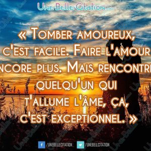 « Tomber amoureux, c'est facile. Faire l'amour encore plus. Mais rencontrer quelqu'un qui t'allume l'âme, ça, c'est exceptionnel. »