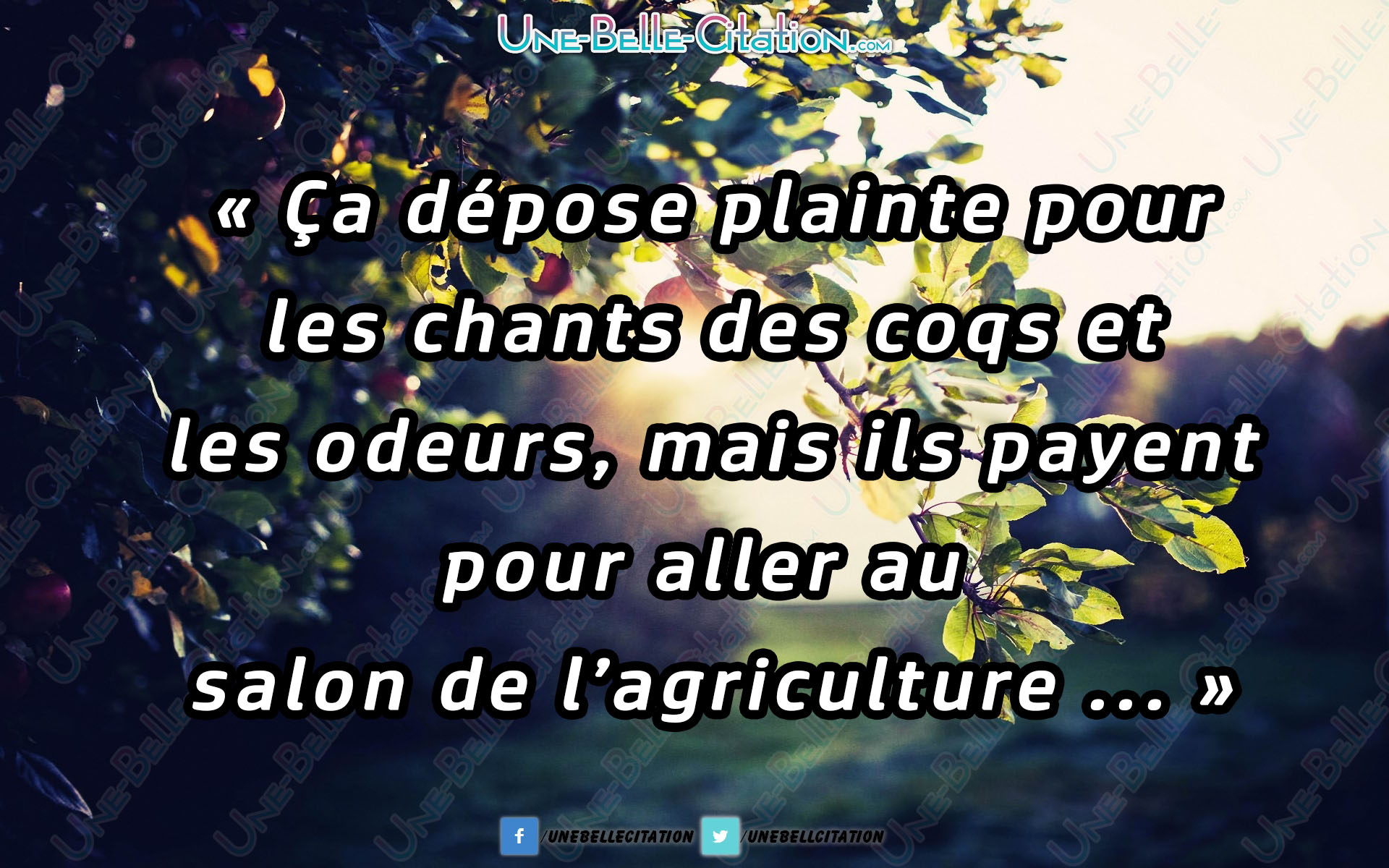 Ca Depose Plainte Pour Les Chants Des Coqs Et Les Odeurs Mais Ils Payent Pour Aller Au Salon De L Agriculture Citations Et Proverbes Retrouver De Nombreuses Citations Proverbes