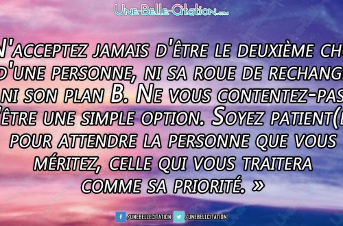 N'acceptez jamais d'être le deuxième choix d'une personne, ni sa roue de rechange ni son plan B. Ne vous contentez-pas d'être une simple option. Soyez patient(e) pour attendre la personne que vous méritez, celle qui vous traitera comme sa priorité.