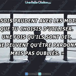 « Sois prudent avec les mots que tu choisis d'utiliser. Une fois qu'ils sont dit, ils ne peuvent qu'être pardonnés, mais pas oubliés. »