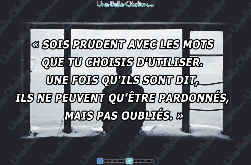« Sois prudent avec les mots que tu choisis d'utiliser. Une fois qu'ils sont dit, ils ne peuvent qu'être pardonnés, mais pas oubliés. »