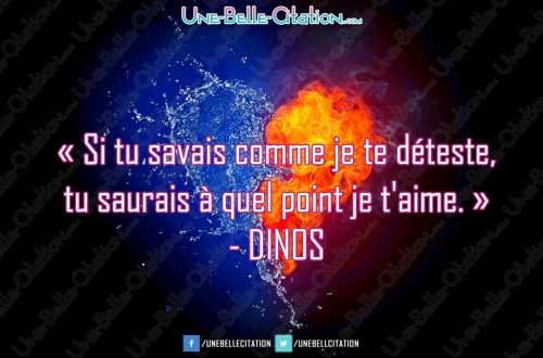 « Si tu savais comme je te déteste, tu saurais à quel point je t'aime. - DINOS »