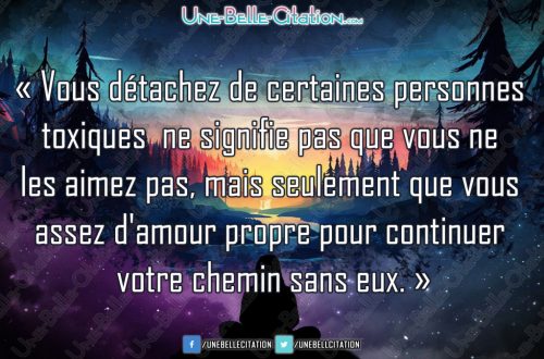 « Vous détachez de certaines personnes toxiques ne signifie pas que vous ne les aimez pas, mais seulement que vous assez d'amour propre pour continuer votre chemin sans eux. »