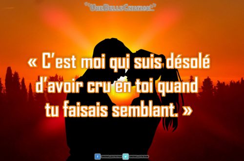 C'est moi qui suis désolé d'avoir cru en toi quand tu faisais semblant.