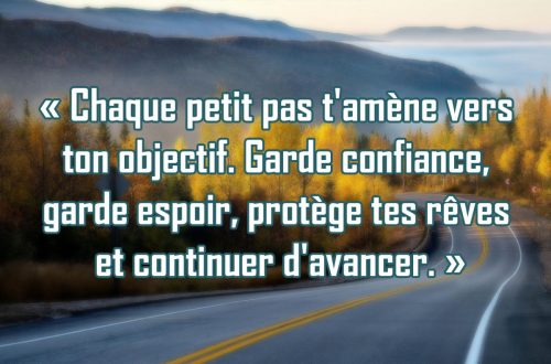 « Chaque petit pas t'amène vers ton objectif. Garde confiance, garde espoir, protège tes rêves et continuer d'avancer. »