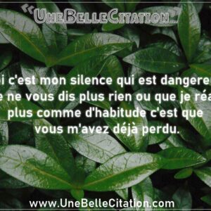 « Moi c'est mon silence qui est dangereux, si je ne vous dis plus rien ou que je réagis plus comme d'habitude c'est que vous m'avez déjà perdu. »