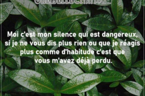 « Moi c'est mon silence qui est dangereux, si je ne vous dis plus rien ou que je réagis plus comme d'habitude c'est que vous m'avez déjà perdu. »
