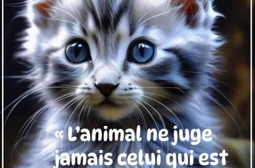« L'animal ne juge jamais celui qui est différent de lui. » - GANDHI
